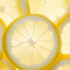 清新透光黄柠檬