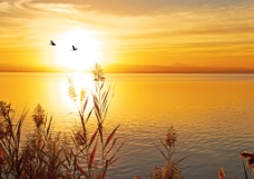 黄昏湖泊美景图片