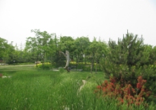 绿化景观图片