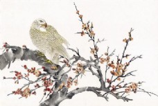 鹰工笔花鸟国画0225