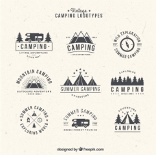 商品手工绘制的露营标志在老式的风格