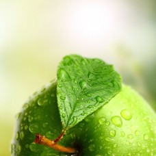 绿色蔬菜青苹果展板背景