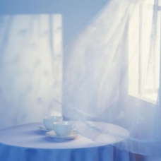 非主流清新静物窗纱下的茶杯艺术静谧风格