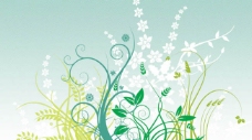 植物图案花纹漂亮优雅的植物花纹图案Photoshop笔刷素材下载
