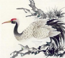 花鸟 中国画 26