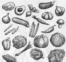 餐饮素描手绘21款蔬菜