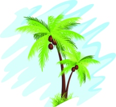 椰树分层图片
