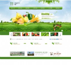 绿色蔬菜水果蔬菜网页界面