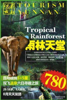 雨林天堂，云南旅游广告 西双版纳昆明