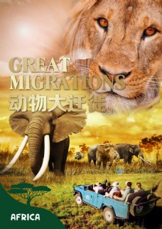 肯尼亚旅游海报