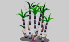 甘蔗树flash植物