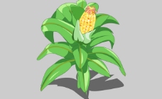 玉米flash动画