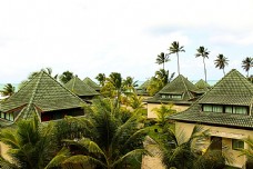 椰树林里的别墅摄影高清图片