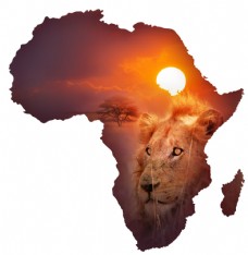 树木非洲地图与狮子