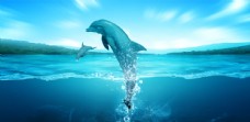 天空淘宝海洋海豚海水素材效果图片