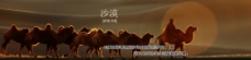 内蒙古沙漠banner骆驼夕阳