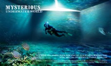 海底世界宣传海报