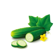 绿色蔬菜卡通黄瓜绿叶图片