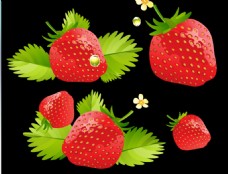 草莓高清flash动画