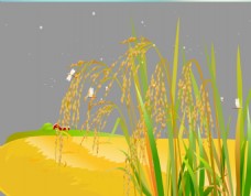 蜻蜓在水稻上飞舞flash动画