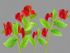 红色的花朵flash矢量动画