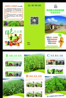 画册折页蔬菜合作社三折页图片