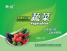 无公害蔬菜包装设计模板