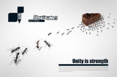 团结就是力量创意蚁群海报psd素材