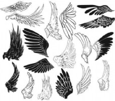 新款手绘神话卡通PS天使羽毛翅膀笔刷