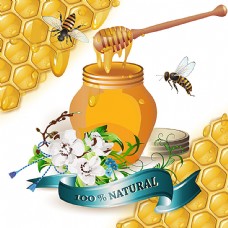 餐饮蜜蜂与蜂巢