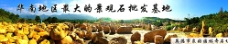 广东黄蜡石 园林设计石图片