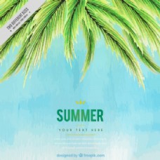 水彩画夏季背景与棕榈树