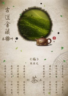 古道金藏茶叶海报