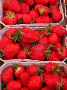 市场新鲜的草莓