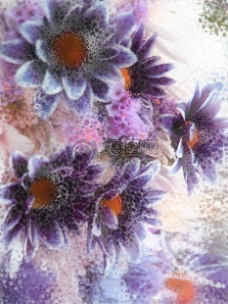 紫色艺术字美丽的数字艺术鲜花