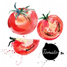 水彩蔬菜西红柿图片