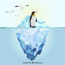 多边形冰山和企鹅