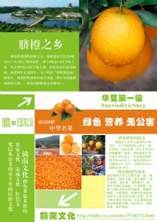 水果宣传水果赣南脐橙宣传单海报排版设计