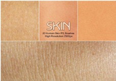 皮质20种皮肤纹理人体皮肤Photoshop材质笔刷