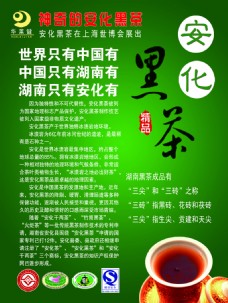 安华黑茶简介茶类海报