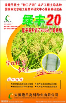 水稻种子包装设计
