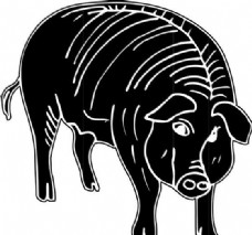 猪 家畜 动物剪影 矢量素材 EPS格式_0008