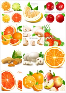 蔬菜水果水果蔬菜矢量