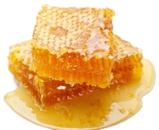 唯美蜂蜜图片