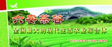 六安茶谷 全国最大的现代生态农业综合体