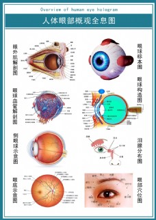 现代医学展板人体眼部概观全息图示意图超清