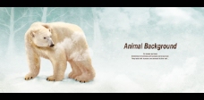 雪山北极熊插画图片PSD素材