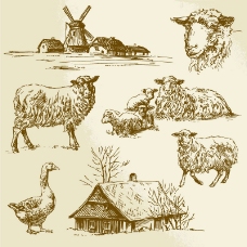 手绘农场和家畜