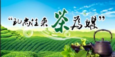 茶之韵茶文化海报