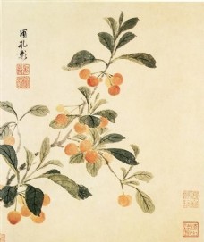 花卉图a花鸟画中国古画0331